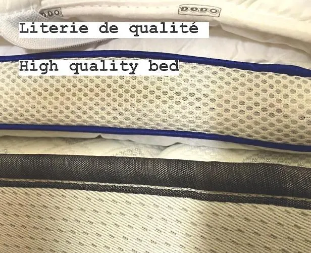 Les Suites 1902, Et Jardin, Centre Petite Venise بيت ضيافة كولمار